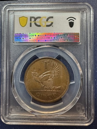 IRELAND Penny 1949 1d Pingin AU58 PCGS Top Pop (Only 2 graded - none higher!) - Picture 2 of 3