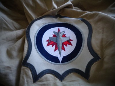 Pottery Barn Teen Nhl Hockey Duvet Winnipeg Jets Twin Stone New Ebay