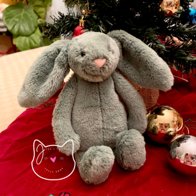 AUTHENTIC Jellycat BASHFUL IVY BUNNY Little RETIRED 2024 New BNWT