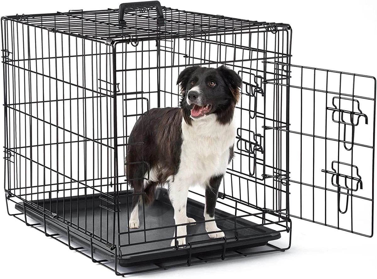 Ebay dog crate outlet