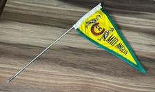 Vintage Caravan Club Mid-Anglia Pennant Flag Yellow Green Rare