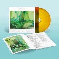 Lost In Another World | James Ellis Ford | Audio-Cd | 2026 | Integral