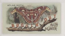 2020 Topps Allen & Ginter's Buggin' Out! Minis Atlas Moth #MBO-7 2id