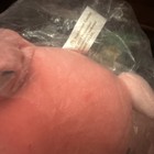 RARE ! Pokémon Center 2017 Limited Oricorio Plush Doll Toy HTF — photo 3