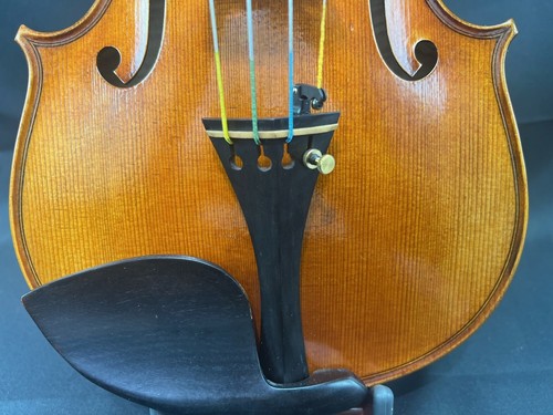 Traje Violín Capriana Gagliano Modelo 4/4 VN601 Año 2022 62G6CH0025 - Imagen 10 de 24