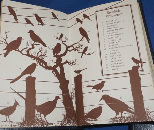 Set of 5 Excellent Easton Press ~ Roger Tory Peterson Field Guides ~ Birds - Picture 4 of 7