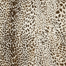 Sunbrella  Indoor / Outdoor Upholstery Fabric - Instinct Espresso 145673-0004