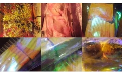 Handmade soap unscented and white
