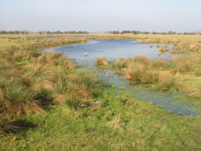 Foto 6x4 Semipermanentes Überschwemmungsgebiet auf Ascheebene unterer Goldstein Ma c2009