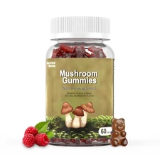CENTRAL PARK MORNING Mushroom Gummies WITH ASHWAGANDHA 60 GUMMIES RASPBERRY 2026