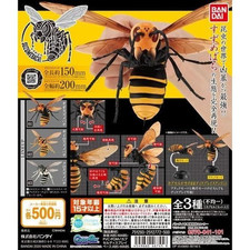 The Diversity of Life on Earth Wasp Hornet 01 Figure w/ Stand Bandai Capsule Toy
