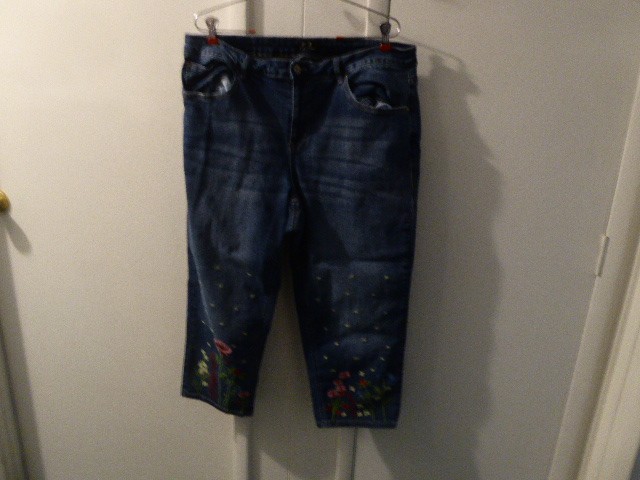 WOMENS Earl Embroidered Denim Jeans Floral Boho stretch Pants sz 20 inseam 20
