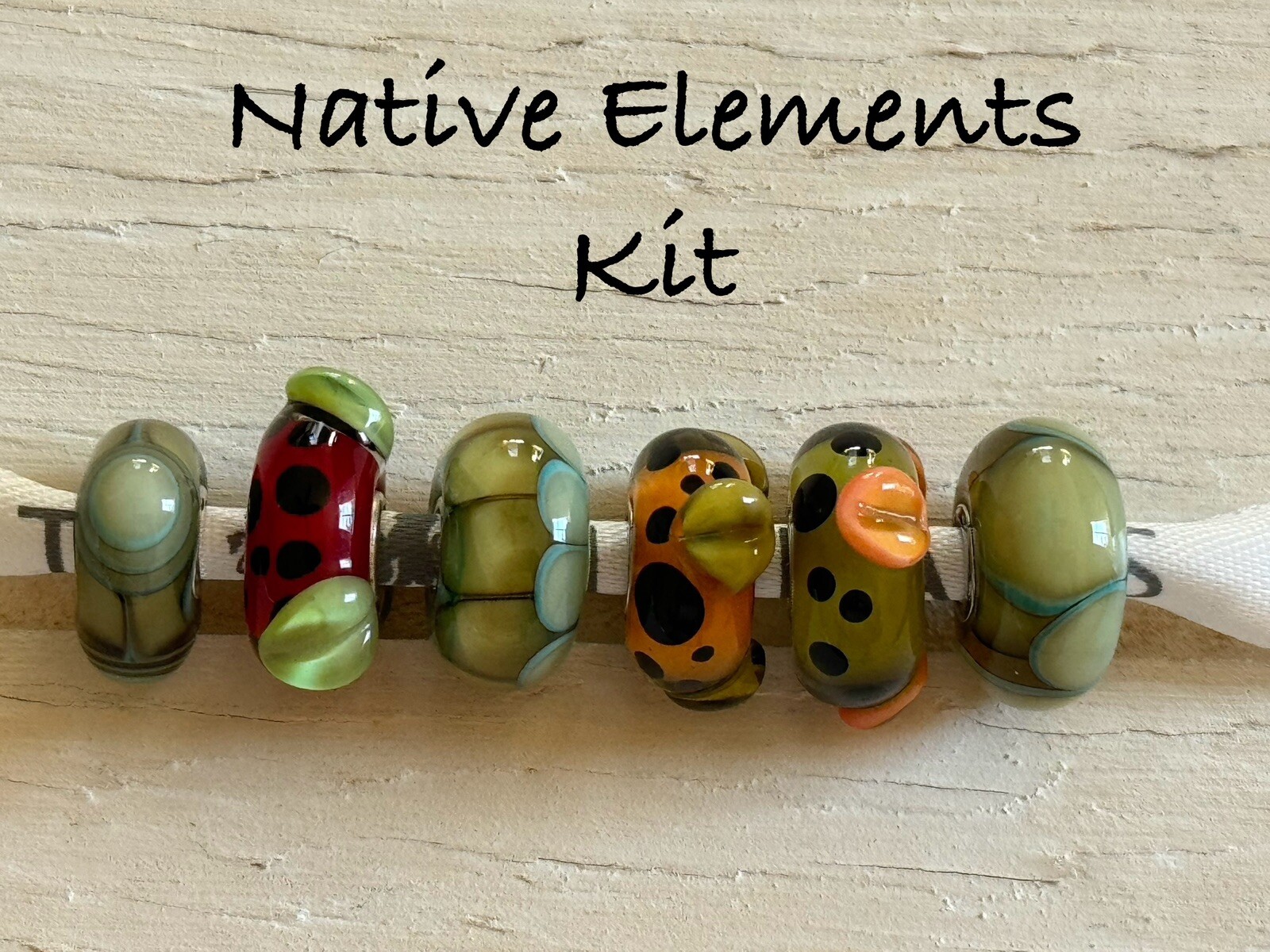 Trollbeads ~ Native Elements Kit ~ Retired - image 2