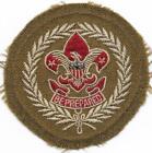 Scout Executive 1921-1938 Wool Adult Position Patch Boy Scouts Bsa Cg