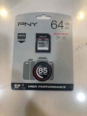 PNY 64 GB P-SDXC64GU185-GE