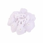 Afbeelding 13 van 56