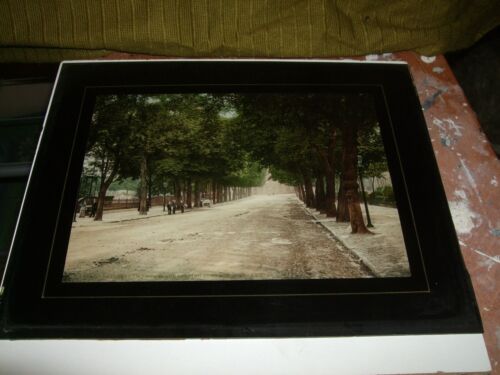 THE PHOTOCHROM, COLOUR PHOTOGRAPHY, A VEW OF STREET SHOWING PEOPLE AND TREES