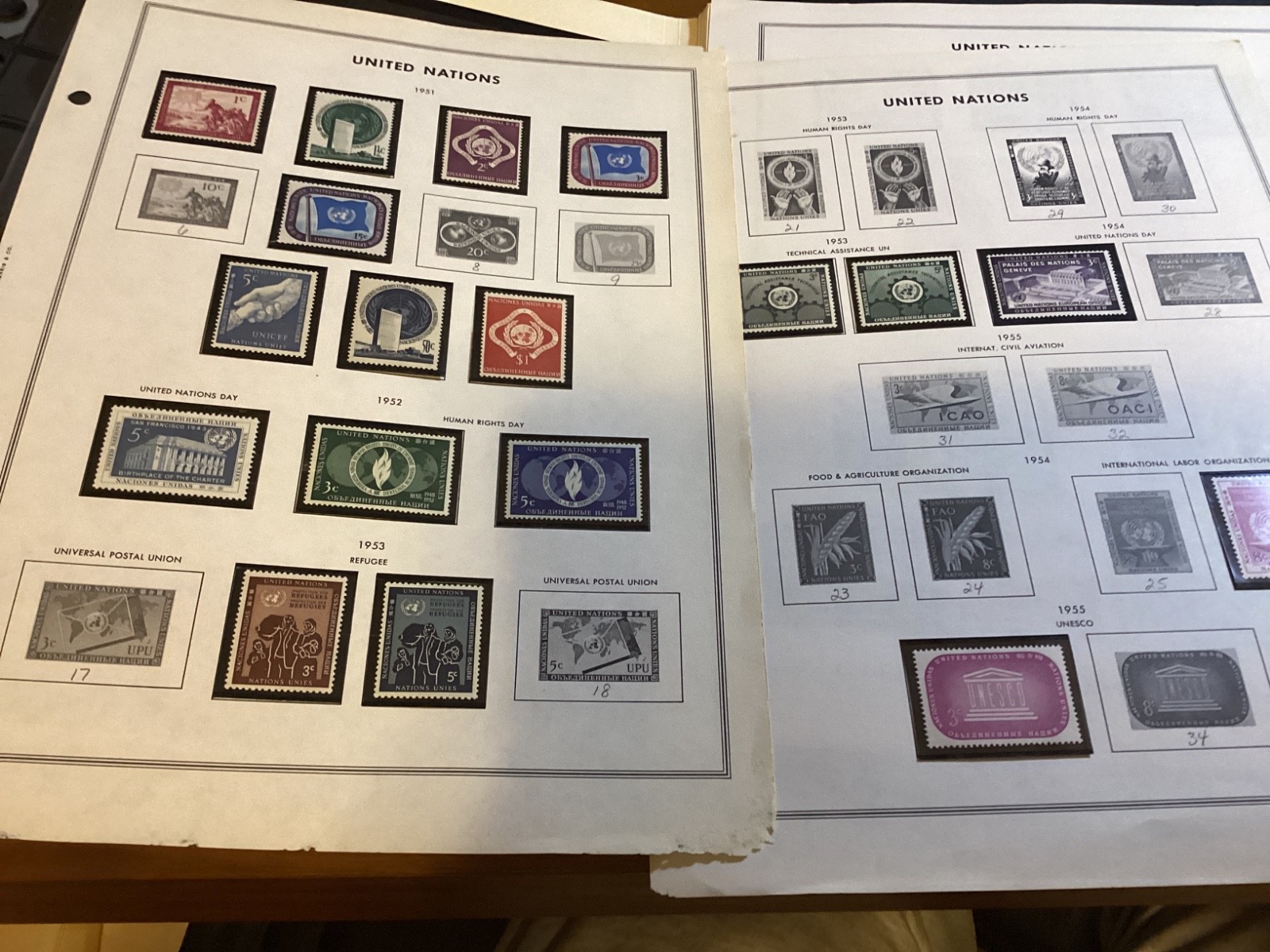 Picture 4