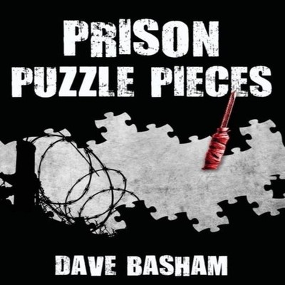 Prison Puzzle Pieces The realities experiences and insights of a