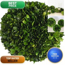 BOXWOOD WORLD Decorative Boxwood Balls 6 inch...