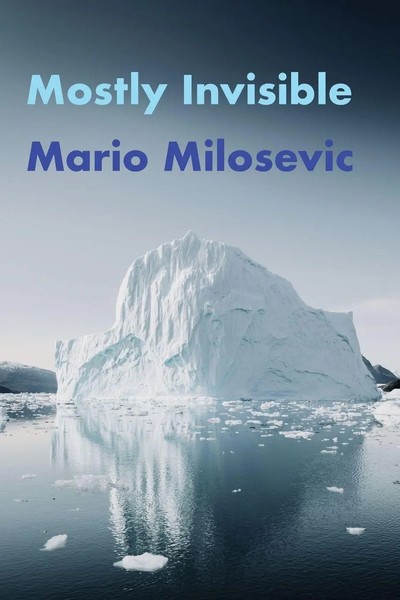 Mario Milosevic | Mostly Invisible | Taschenbuch | Englisch (2019)-image