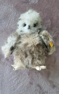 Vintage Steiff Owl Made In Austria 2591/22