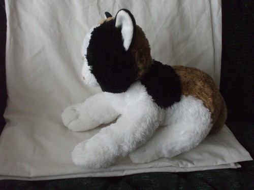 11"x13" plus tail BABW Calico Cat - Picture 3 of 6