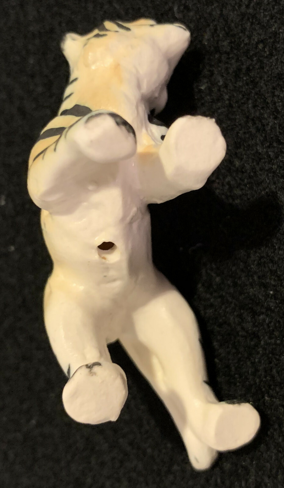 Picture 5 of 12
