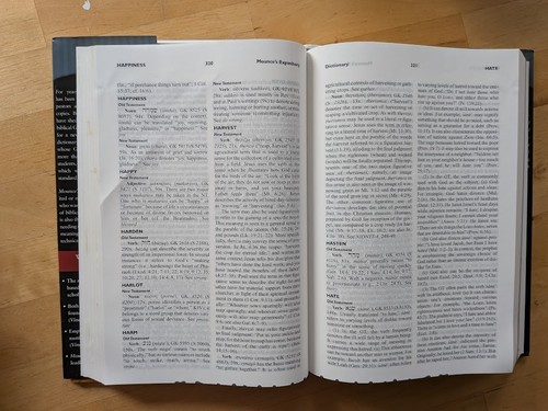 Mounce's Complete Expository Dictionary of Old and New Testament Words - BIBLE - Foto 2 di 4
