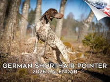 German Shorthair Pointer Dog Breed Calendar 2026 12x18 Made in USA
