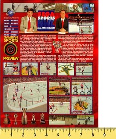 Sega Sports All-Star Hockey GameFan Magazine Ad Print 1996 Sega Saturn