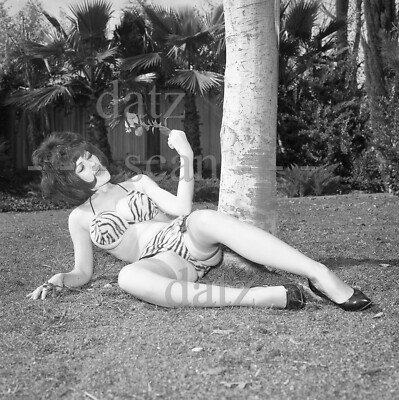 1960s Negative-sexy pinup girl Cozette Cosen in tiger lingerie t457717