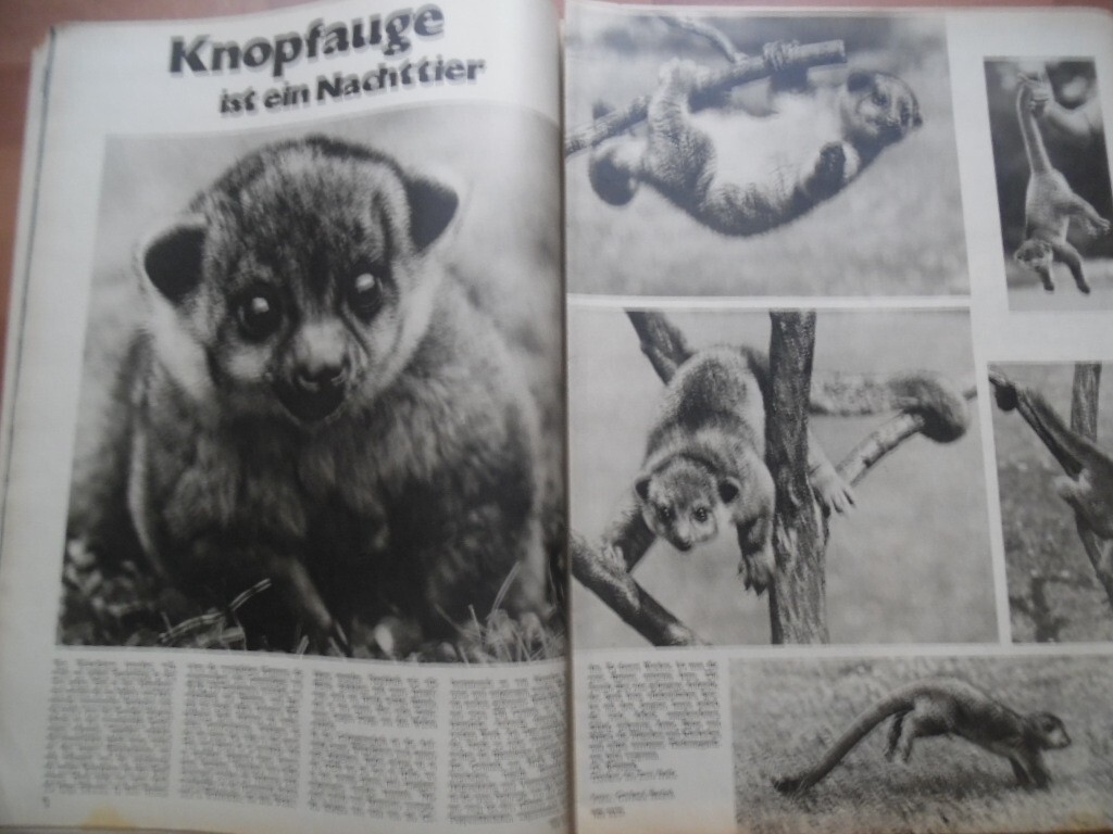 Picture 8 of 17