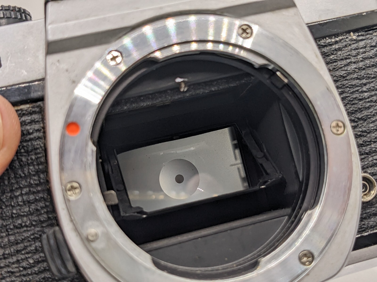 Asahi Pentax K1000 w 50mm f2 Lens 35mm Film Camera Tested