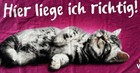 Bild 3 von 4