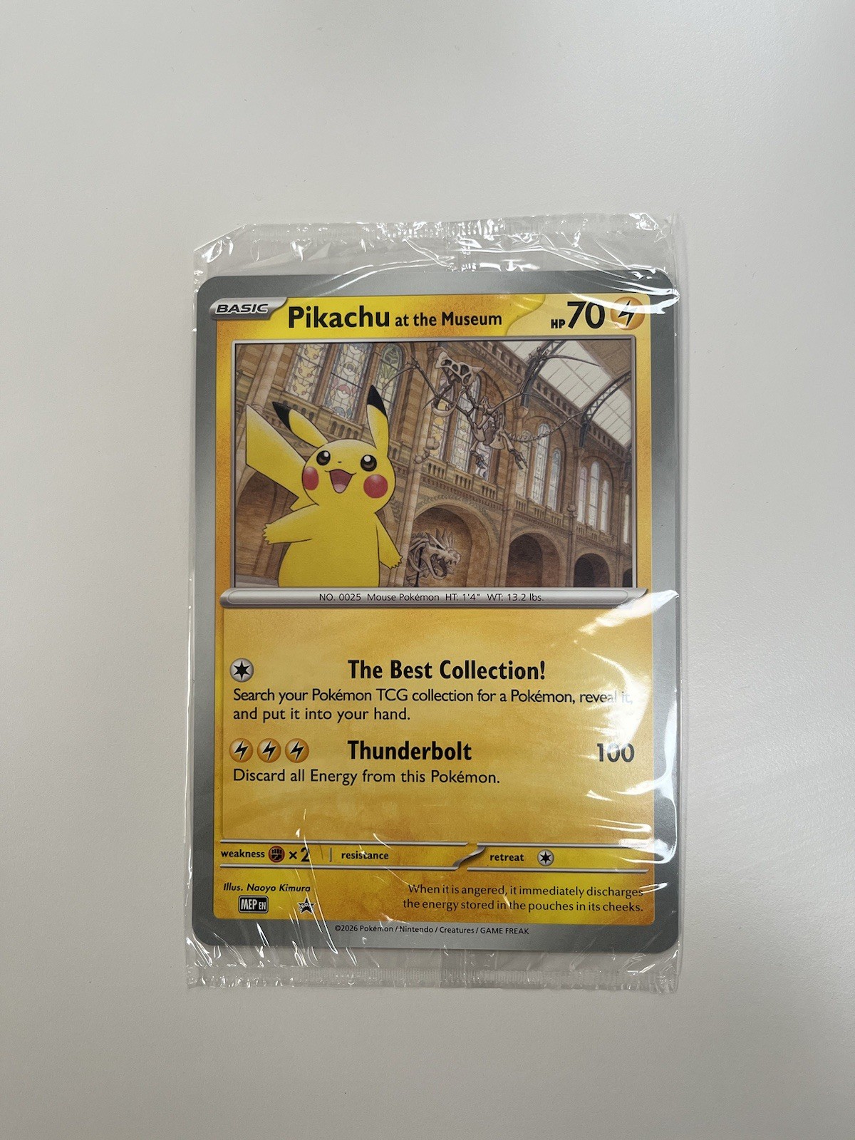 Pokemon Pikachu At The Museum Promo Card - Jumbo - Sealed