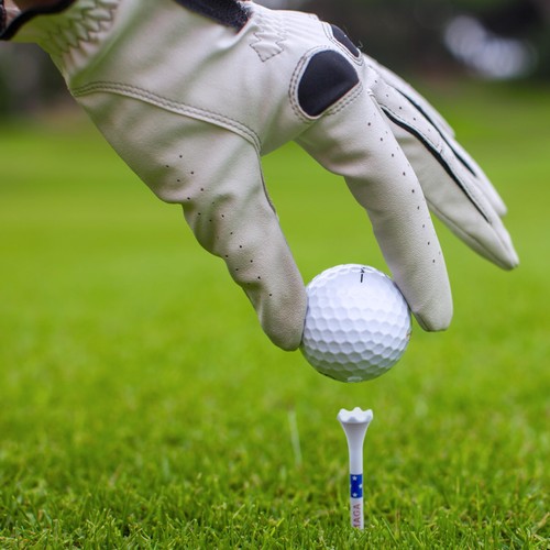 ProActive Sports MAGA 3 ¼” 100 Pack of Durable 6 Prong Plastic Golf T - Picture 5 of 6