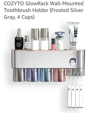 Wall-Mounted Toothbrush Holder And Toothpaste Dispenser Frosted Silver, 4 Cups