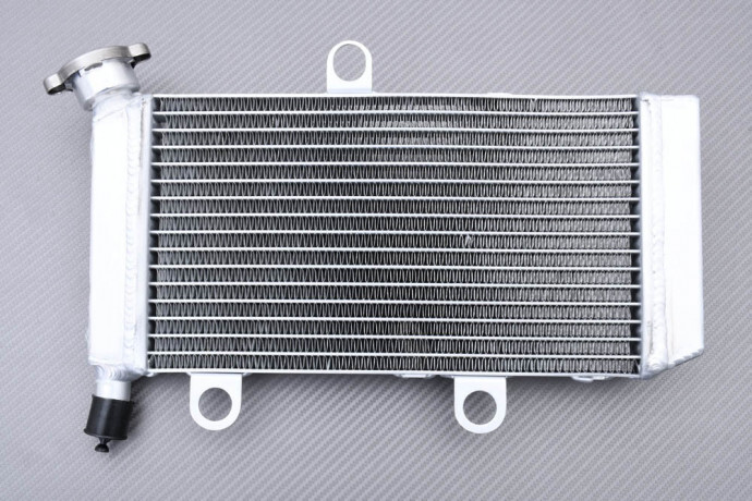 Radiateur eau en aluminium brossé YAMAHA XT660R DM01 finition racing haut de gamme