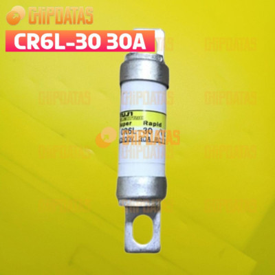 1PCS New FUJI SUPER RAPID FUSE CR6L-30/UL   Best Quality Assured