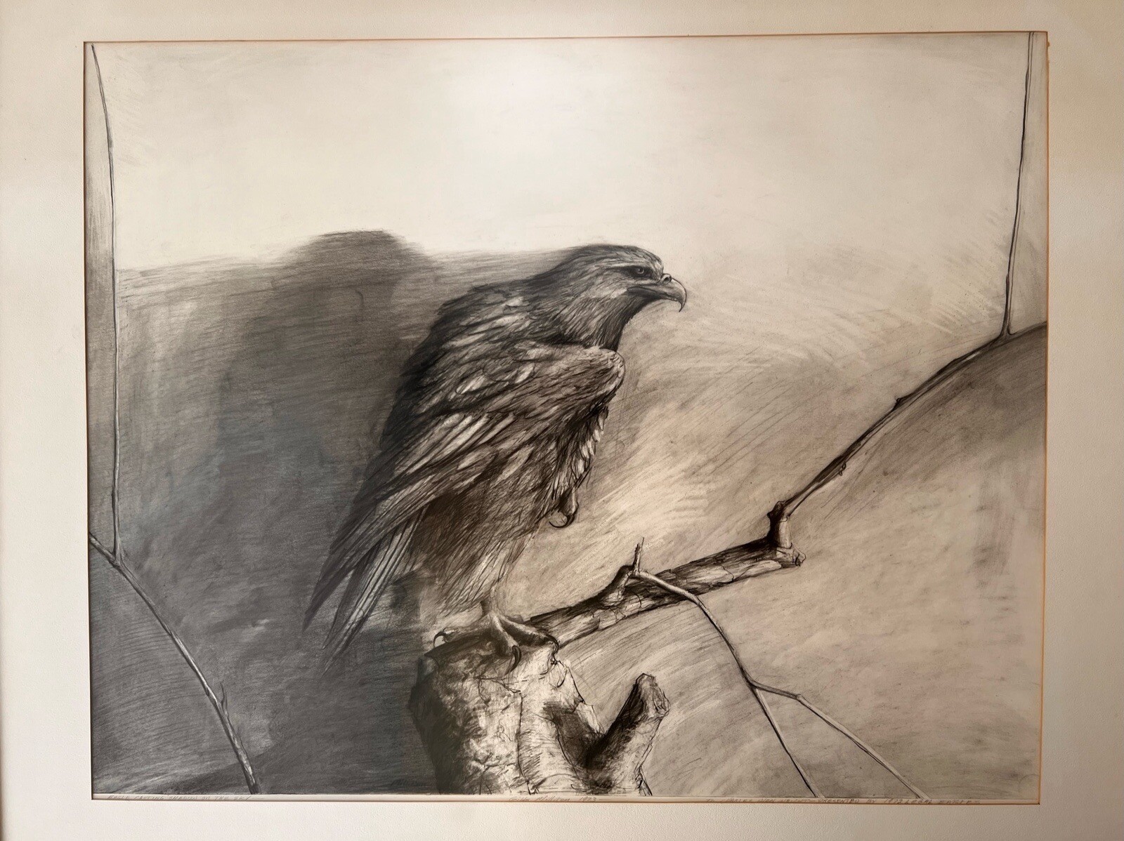Picture 4 of 10