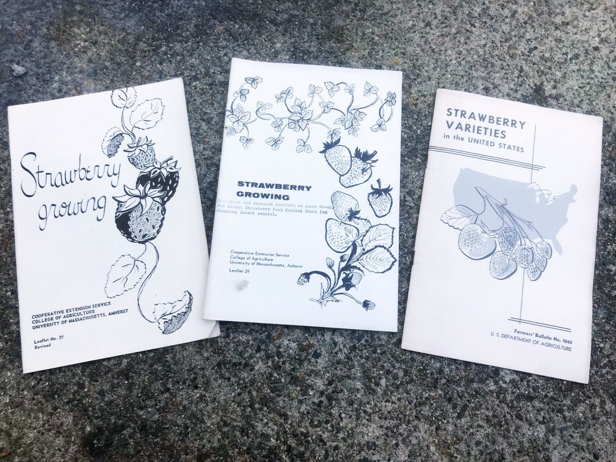 Vtg 3 Booklets Strawberry varieties and Growing US Department of
