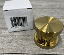 SteamSpa G-SHGOLD Steamhead with Aromatherapy Reservoir -Polished Gold