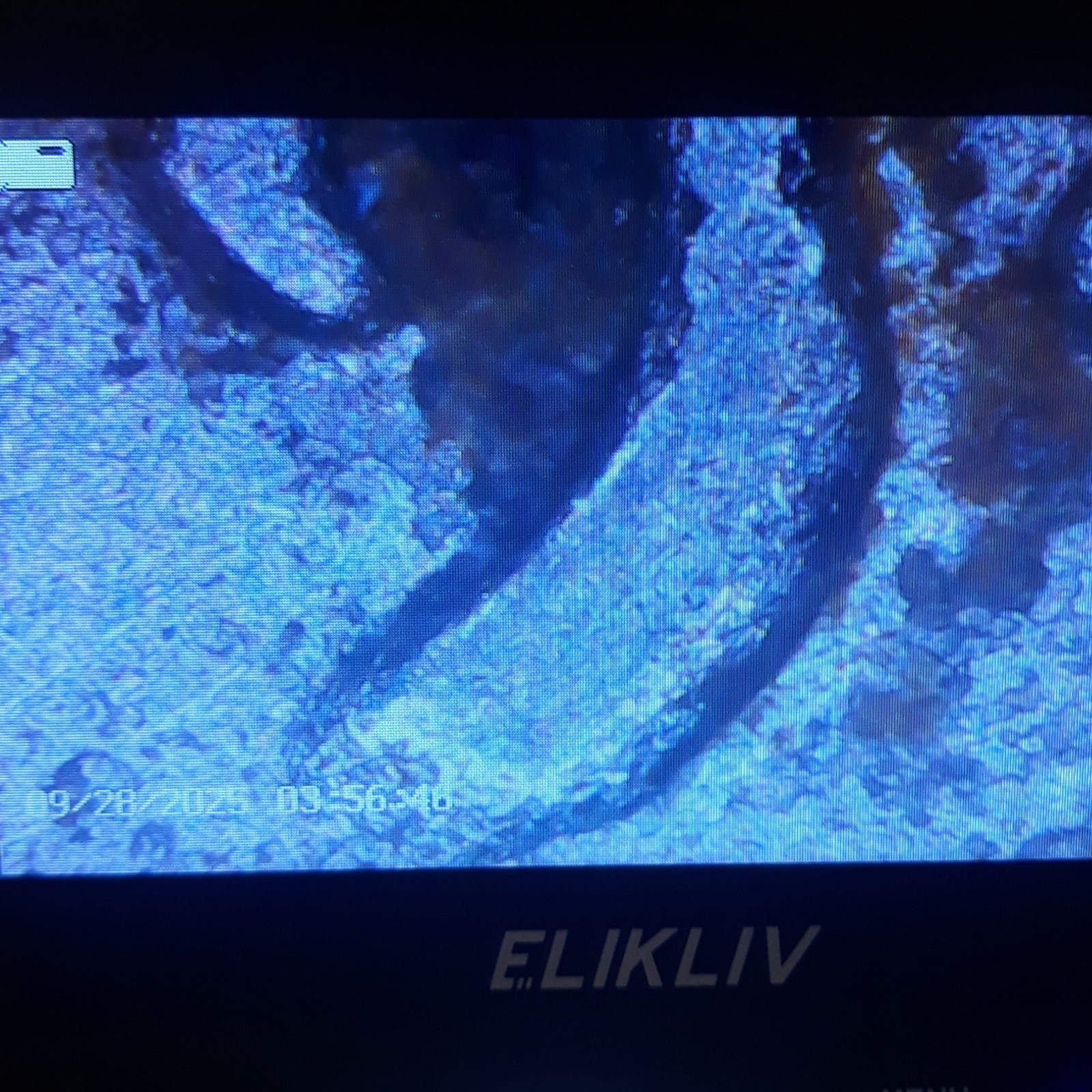Picture 5 of 12
