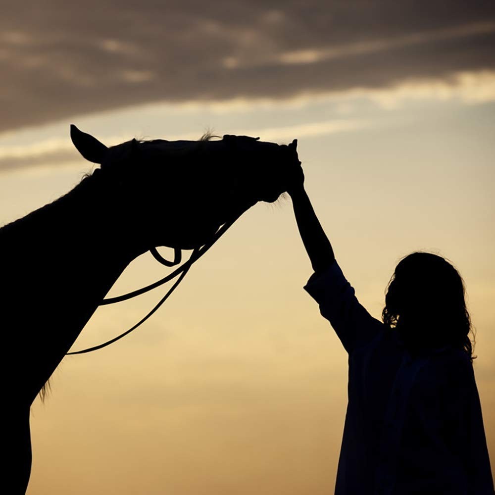 Horse Kid Jewelry, P Initial Letter Necklace Silver Color Horse Themed Gifts for