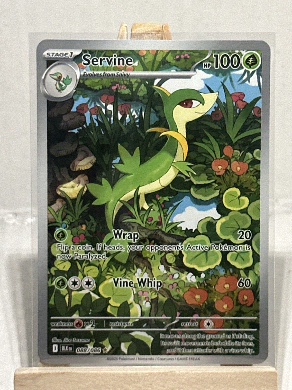 Servine (088/086) Scarlet & Violet: Black Bolt​ - Near Mint Holofoil Pokemon TCG