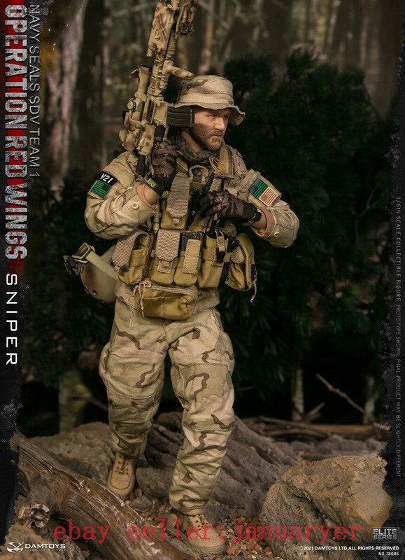 Damtoys 1/6 78085 Operation Red Wings-Navy Seals Sdv Team 1