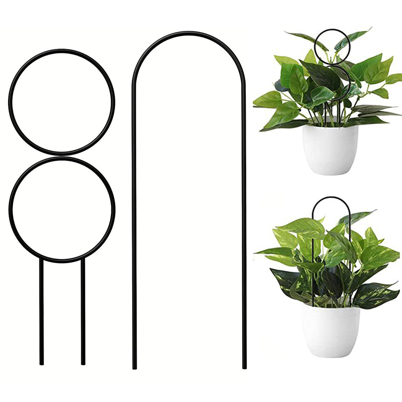 4pcs Plant Climbing Trellis Support Stable Good Support Monstera Potted