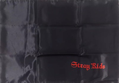 Stray Kids World Tour dakimakura pillow cover VIP special edition