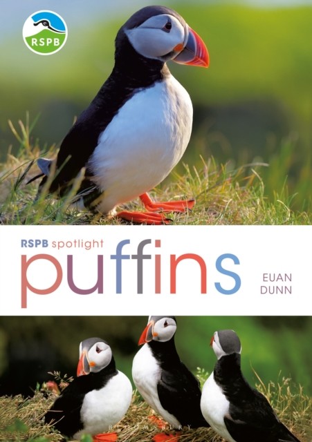 RSPB Spotlight: Puffins.by Dunn  New 9781472965202 Fast Free Shipping** - Image 3